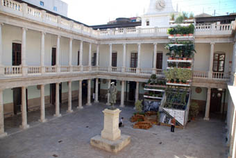 Vivero en el Claustro de La Nau.